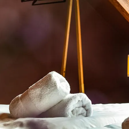 Bed & Breakfast Willem Ii