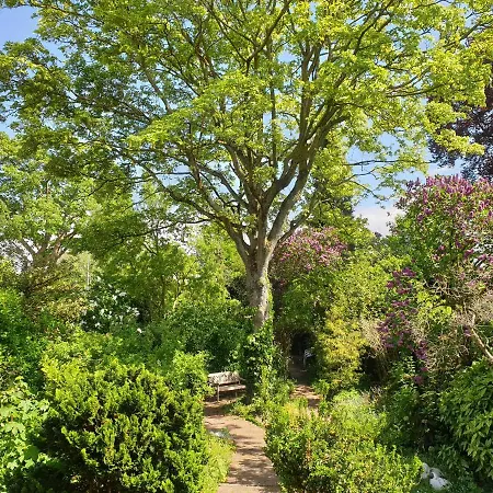 Willem Ii לינה וארוחת בוקר 3*