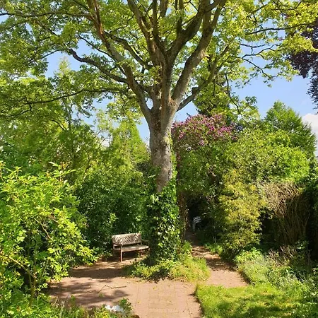Willem Ii Bed & Breakfast Roermond