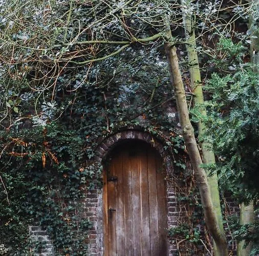 Bed & Breakfast Willem Ii 3*