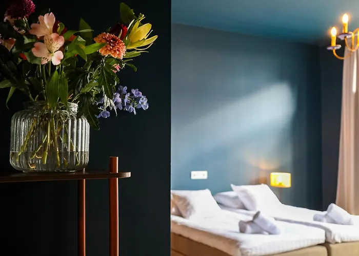 Bed & Breakfast Willem Ii Roermond