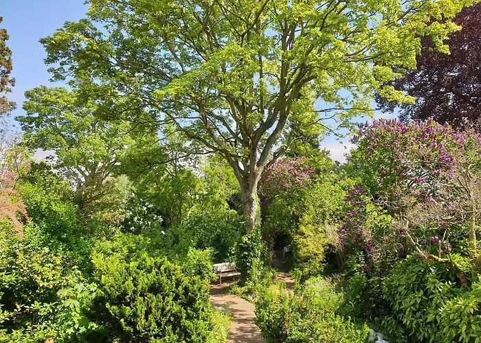 Willem Ii Bed & Breakfast 3*