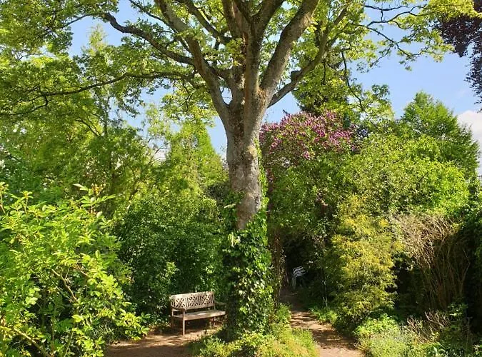 Willem Ii Bed & Breakfast Roermond