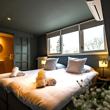 Willem Ii Frühstückspension Roermond